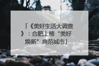 《美好生活大调查》：合肥上榜“美好焕新”典范城市