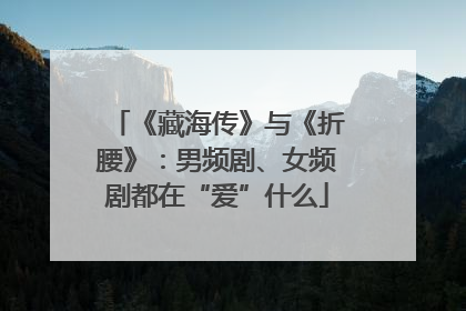 《藏海传》与《折腰》：男频剧、女频剧都在“爱”什么