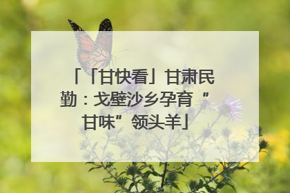 「甘快看」甘肃民勤：戈壁沙乡孕育“甘味”领头羊