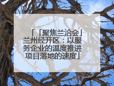「聚焦兰洽会」兰州经开区：以服务企业的温度推进项目落地的速度