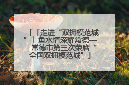 「走进“双拥模范城”」鱼水情深耀常德——常德市第三次荣膺“全国双拥模范城”