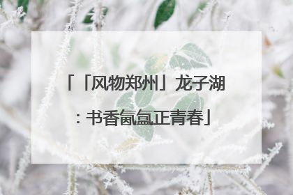 「风物郑州」龙子湖：书香氤氲正青春
