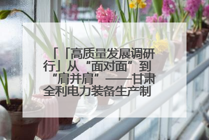 「高质量发展调研行」从“面对面”到“肩并肩”——甘肃全利电力装备生产制造项目一线见闻
