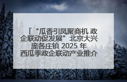 “瓜香引凤聚商机 政企联动促发展”北京大兴庞各庄镇 2025 年西瓜季政企联动产业推介活动圆满举行
