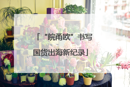 “皖甬欧”书写国货出海新纪录