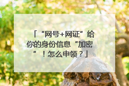 “网号+网证”给你的身份信息“加密”！怎么申领？