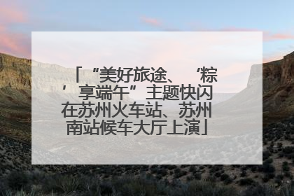 “美好旅途、‘粽’享端午”主题快闪在苏州火车站、苏州南站候车大厅上演