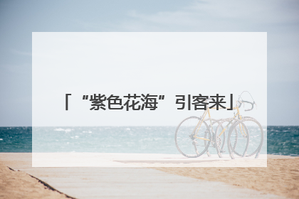 “紫色花海”引客来