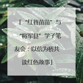 “红巷苗苗”与“将军县”学子笔友会：以信为桥共读红色故事