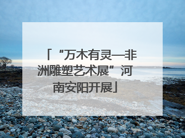 “万木有灵—非洲雕塑艺术展”河南安阳开展