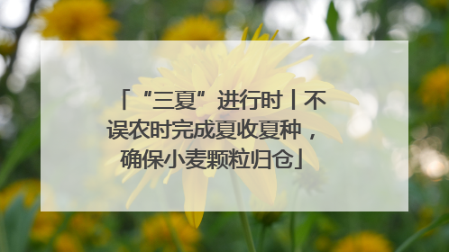 “三夏”进行时丨不误农时完成夏收夏种，确保小麦颗粒归仓