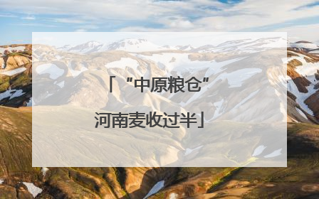“中原粮仓”河南麦收过半