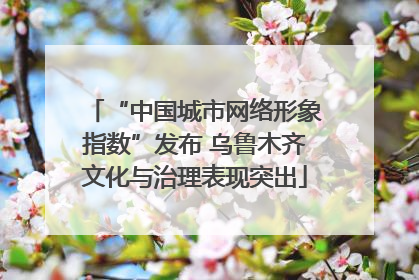 “中国城市网络形象指数”发布 乌鲁木齐文化与治理表现突出