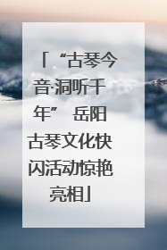“古琴今音·洞听千年” 岳阳古琴文化快闪活动惊艳亮相