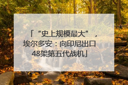 “史上规模最大”，埃尔多安：向印尼出口48架第五代战机