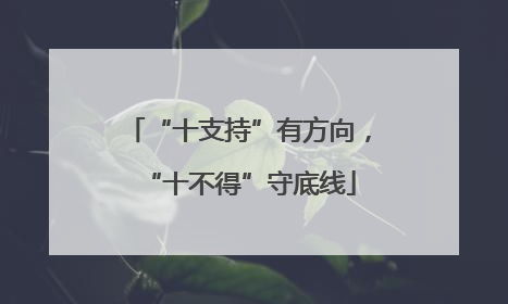 “十支持”有方向，“十不得”守底线