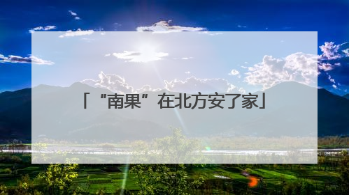“南果”在北方安了家