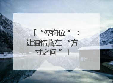 “停狗位 ”：让温情藏在 “方寸之间 ”