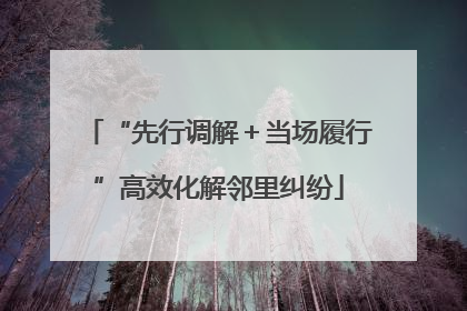 “先行调解＋当场履行”高效化解邻里纠纷