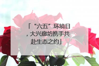 “六五”环境日，大兴廊坊携手共赴生态之约