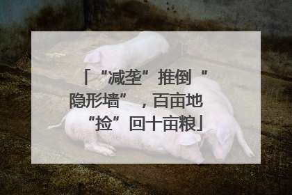 “减垄”推倒“隐形墙”，百亩地“捡”回十亩粮