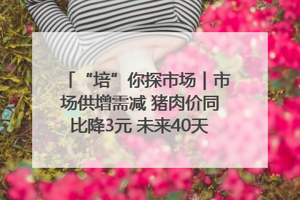 “培”你探市场｜市场供增需减 猪肉价同比降3元 未来40天便宜猪肉敞开吃