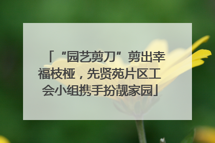 “园艺剪刀”剪出幸福枝桠，先贤苑片区工会小组携手扮靓家园