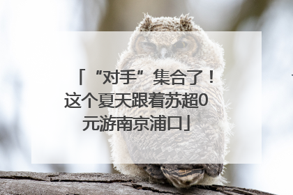 “对手”集合了！这个夏天跟着苏超0元游南京浦口