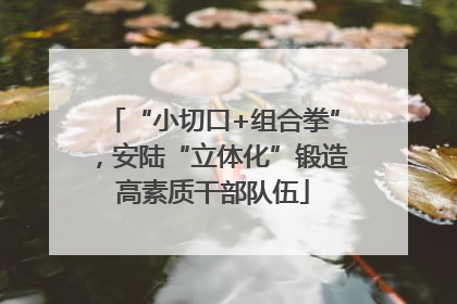 “小切口+组合拳”，安陆“立体化”锻造高素质干部队伍