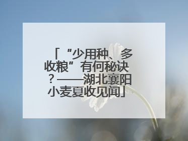 “少用种、多收粮”有何秘诀？——湖北襄阳小麦夏收见闻