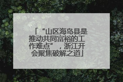 “山区海岛县是推动共同富裕的工作难点”，浙江开会聚焦破解之道