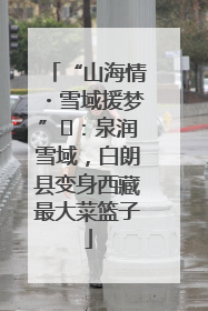 “山海情・雪域援梦”⑪：泉润雪域，白朗县变身西藏最大菜篮子