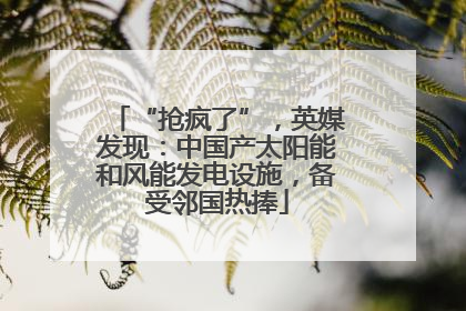 “抢疯了”，英媒发现：中国产太阳能和风能发电设施，备受邻国热捧