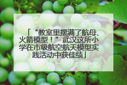 “教室里摆满了航母、火箭模型！”武汉这所小学在市级航空航天模型实践活动中获佳绩