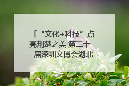 “文化+科技”点亮荆楚之美 第二十一届深圳文博会湖北馆抢“鲜”看
