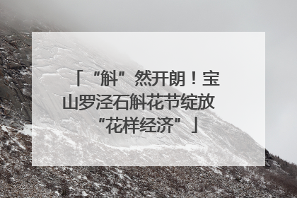 “斛”然开朗！宝山罗泾石斛花节绽放“花样经济”