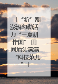 “新”潮澎湃勾勒活力“三夏耕作图” 田间地头满满“科技范儿”