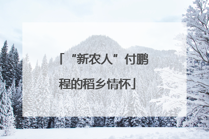 “新农人”付鹏程的稻乡情怀