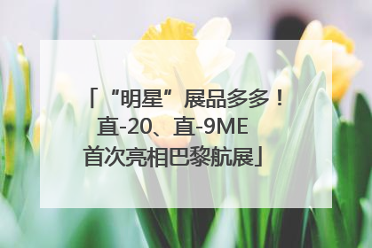 “明星”展品多多！直-20、直-9ME首次亮相巴黎航展