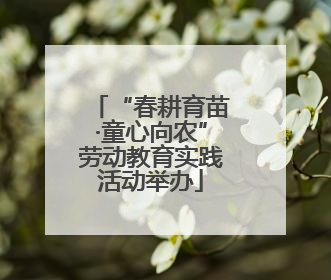 “春耕育苗·童心向农”劳动教育实践活动举办