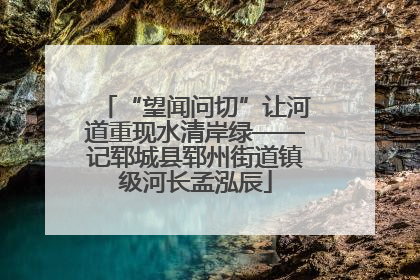 “望闻问切”让河道重现水清岸绿——记郓城县郓州街道镇级河长孟泓辰