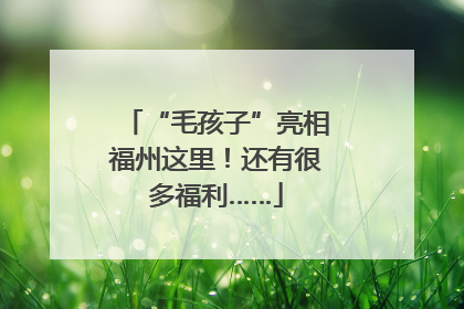“毛孩子”亮相福州这里！还有很多福利……