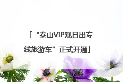 “泰山VIP观日出专线旅游车”正式开通