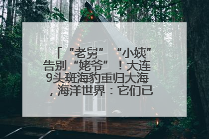 “老舅”“小姨”告别“姥爷”！大连9头斑海豹重归大海，海洋世界：它们已具备野外生存能力