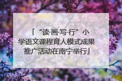 “读·画·写·行”小学语文课程育人模式成果推广活动在南宁举行