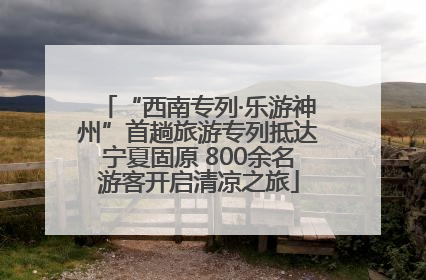 “西南专列·乐游神州”首趟旅游专列抵达宁夏固原 800余名游客开启清凉之旅