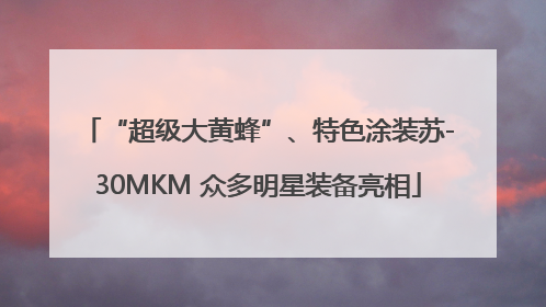 “超级大黄蜂”、特色涂装苏-30MKM 众多明星装备亮相