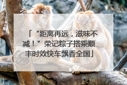 “距离再远，滋味不减！”荣记粽子搭乘顺丰时效快车飘香全国