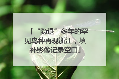 “隐退”多年的罕见鸟种再现浙江，填补影像记录空白
