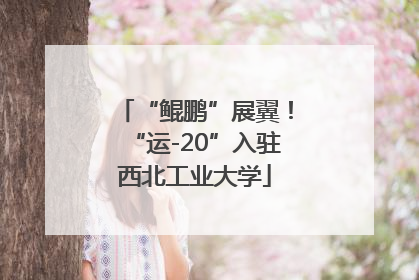 “鲲鹏”展翼！“运-20”入驻西北工业大学